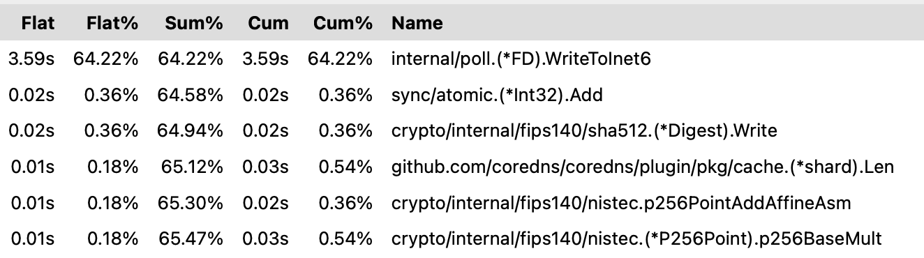Screenshot from pprof top from signing DNSSEC with ECDSA keys